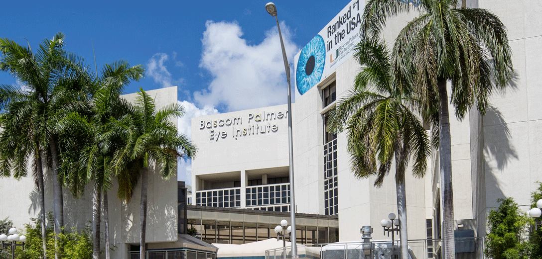 Nine Palmer Doctors Named to Power List Honoring Top Women in Ophthalmology InventUM