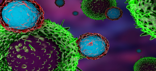 Researchers Develop New Therapeutic Approach to Helping Immune System ...